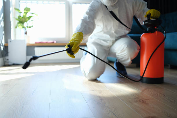 Reliable Biohazard contractor in New Boston, TX by Crime Scene Cleaner Online